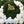 Load image into Gallery viewer, Class of 2024 Graduation Sign