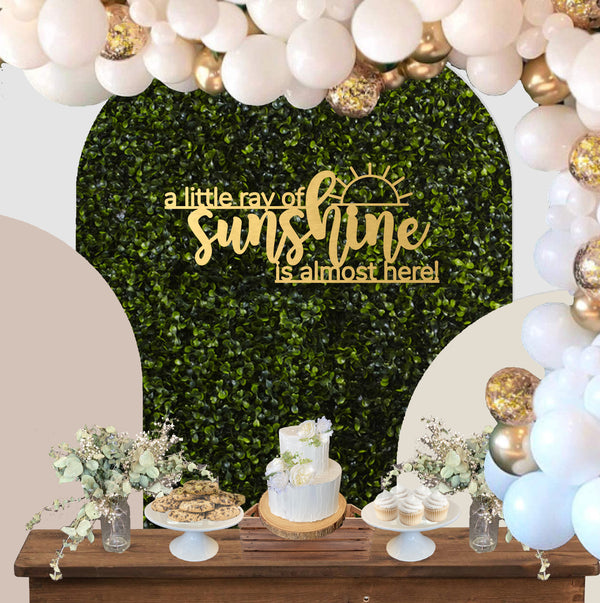 A Little Ray of Sunshine Baby Shower Sign