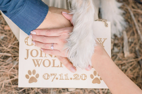 Wedding Announcement Dog Sign - 1A 2A